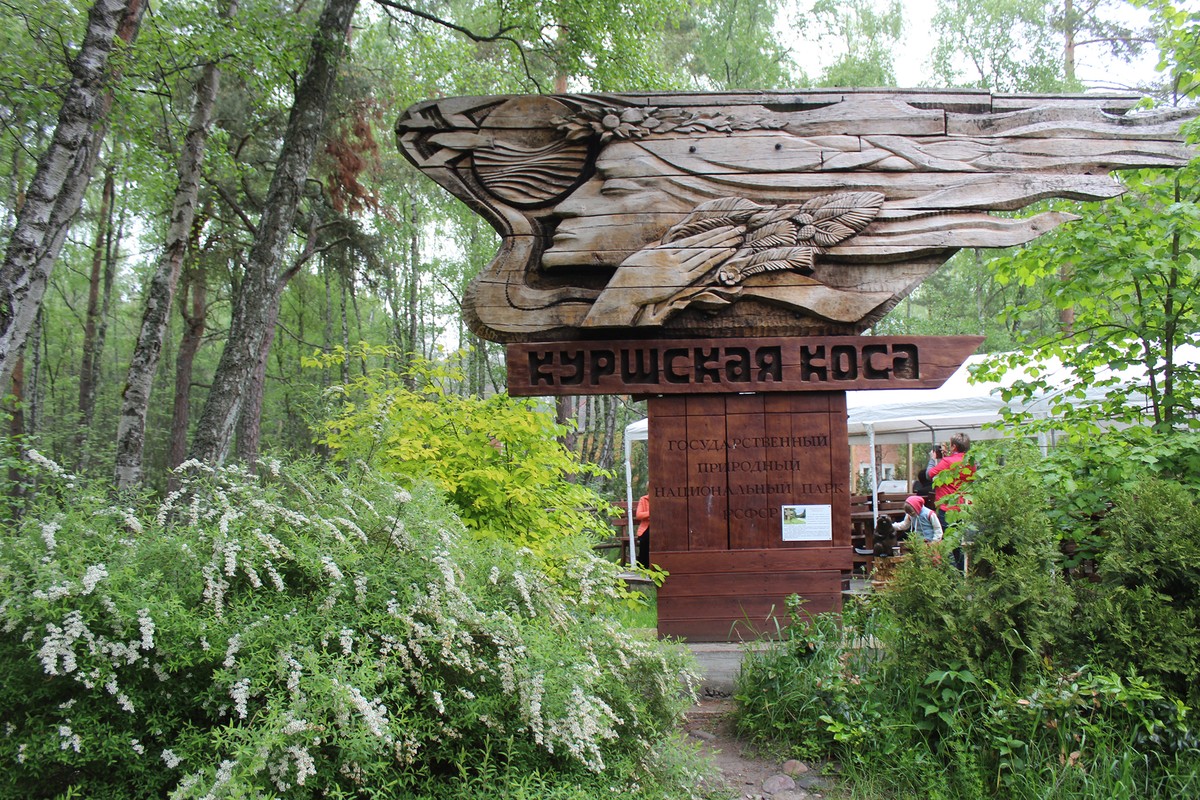 Куршская коса: древние легенды и сказочная реальность