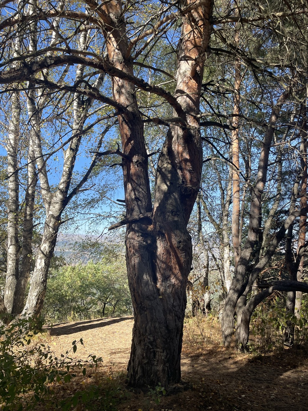 Пешеходная прогулка с малого седла и до ребровой балке отлично прошла, самостоятельно проходили по этому маршруту