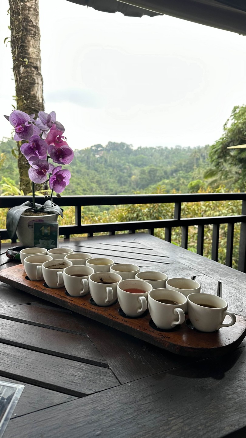 Очищение разума и души на Бали (Анна)