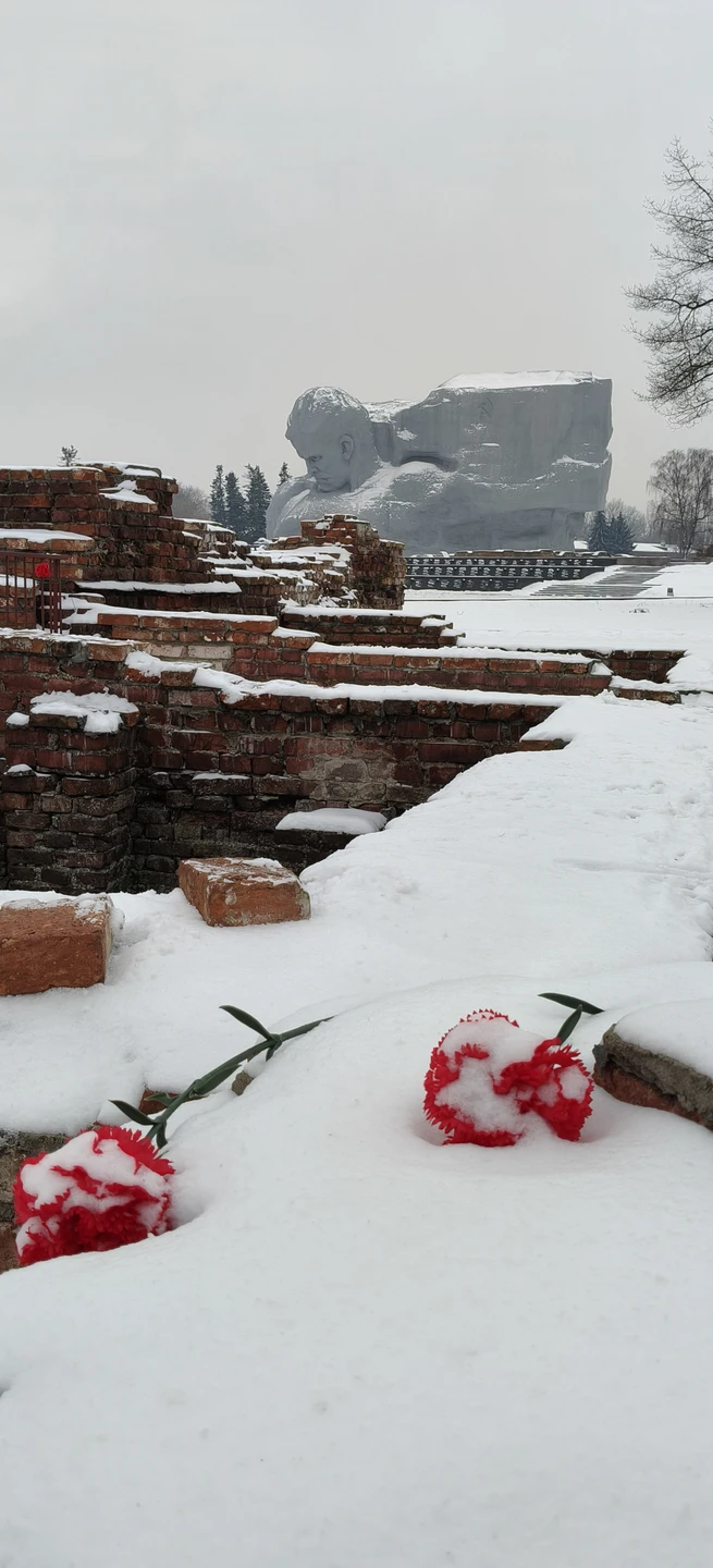 Описать можно одним словом - отвратительно! Посещение Бреста и Брестской крепости рекомендую однозначно, но не с