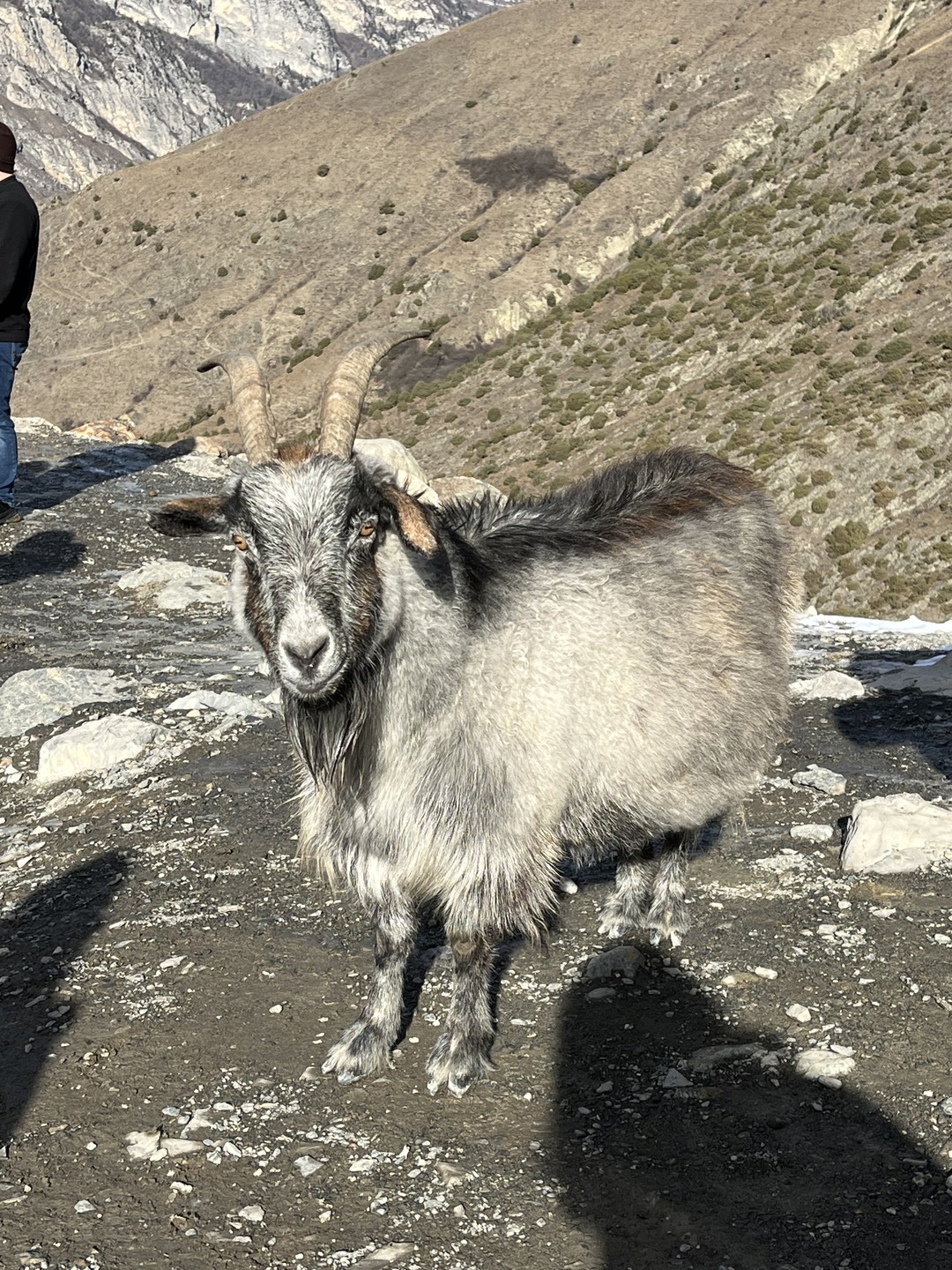Очень понравился тур! Экскурсии интересные, все очень пунктуальные, от графика не отставали и все успели посетить