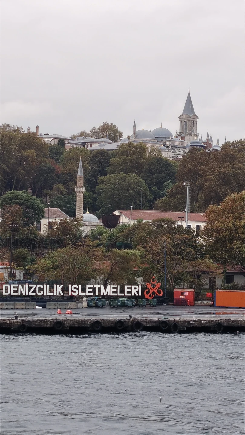 Главные музеи и дворцы Стамбула с гидом-историком (Елена)