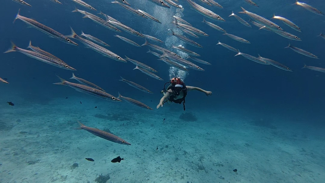 Дайвинг на Пхукете для новичков - всё включено (MINNUBAEV)