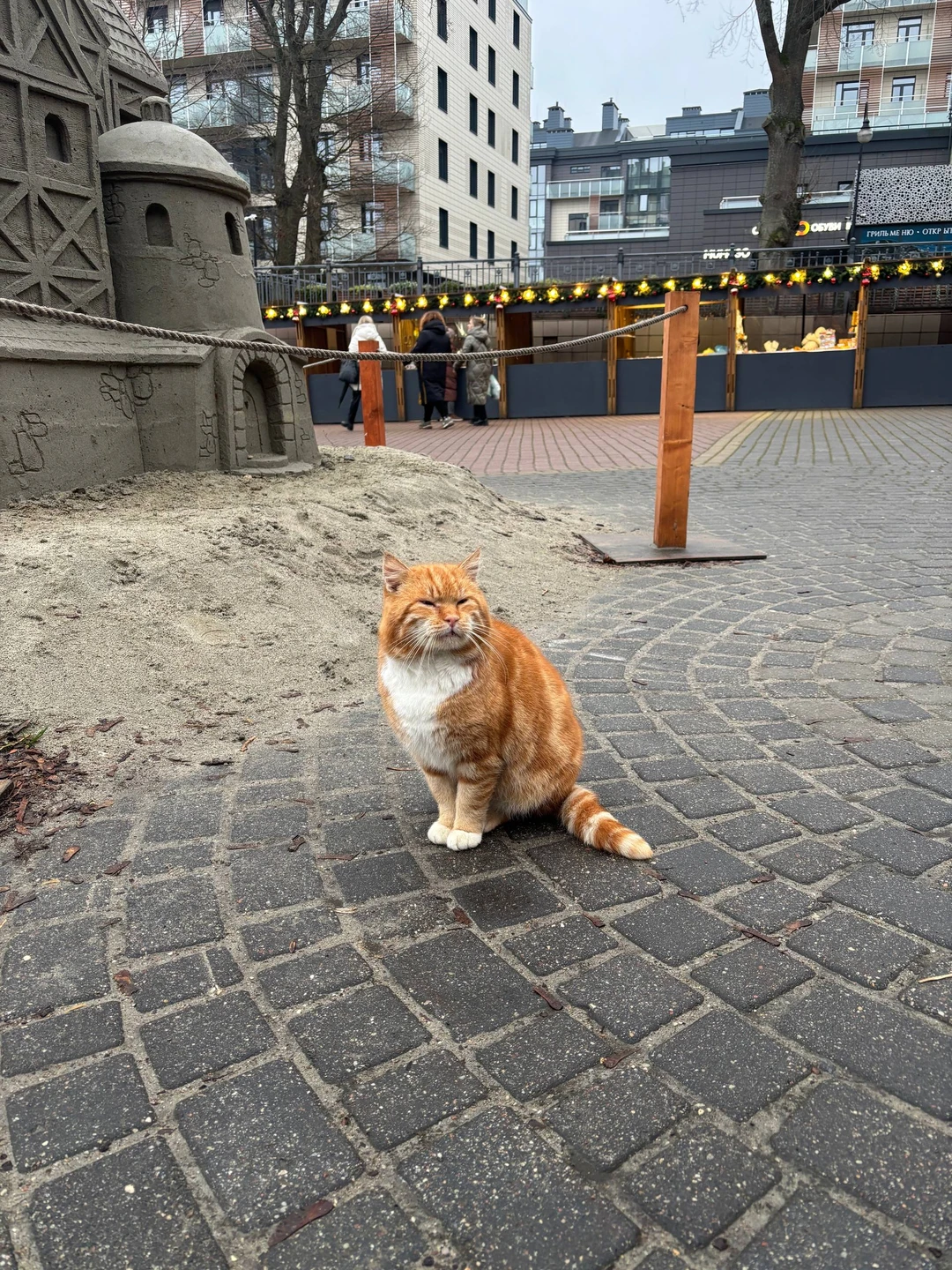 С чем нам не повезло, так это с погодой, но только не с гидом Евгением. Не