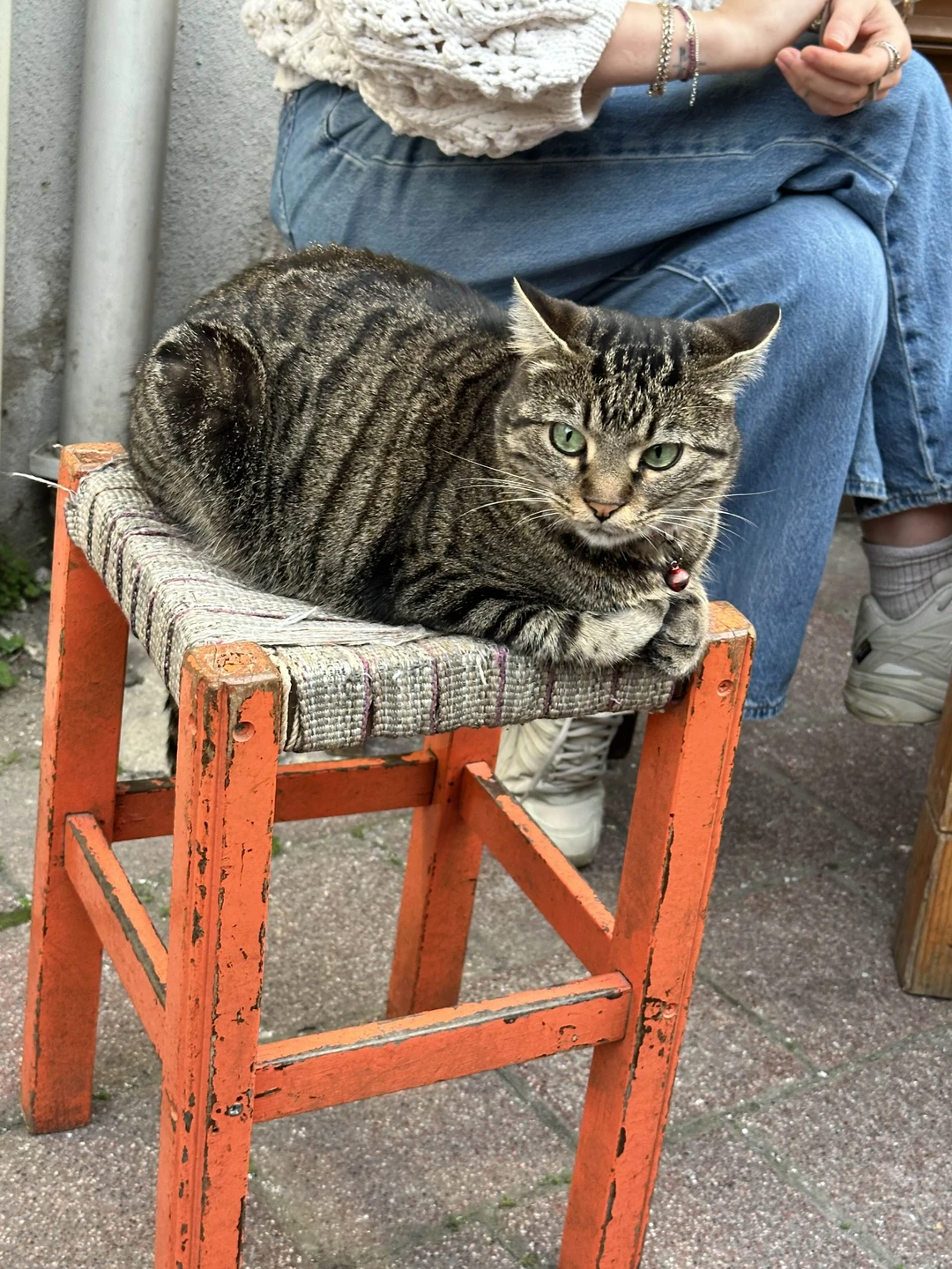 Отличная экскурсия по району Балат, очень красивый и немноголюдный район, много улочек с hand made сувенирами