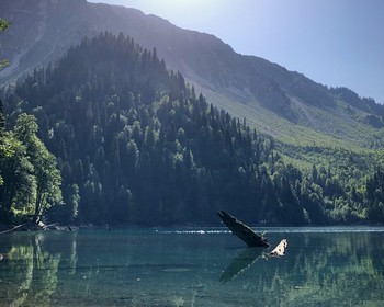 Большая Рица, водопад и дегустация