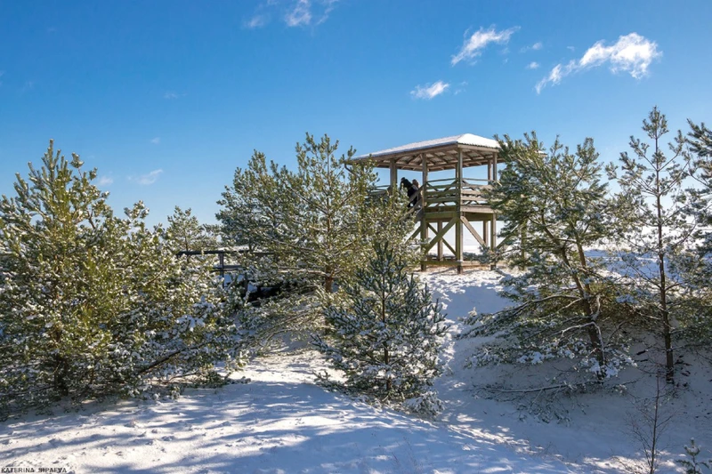 Куршская коса - природное чудо Балтики (из Калининграда)