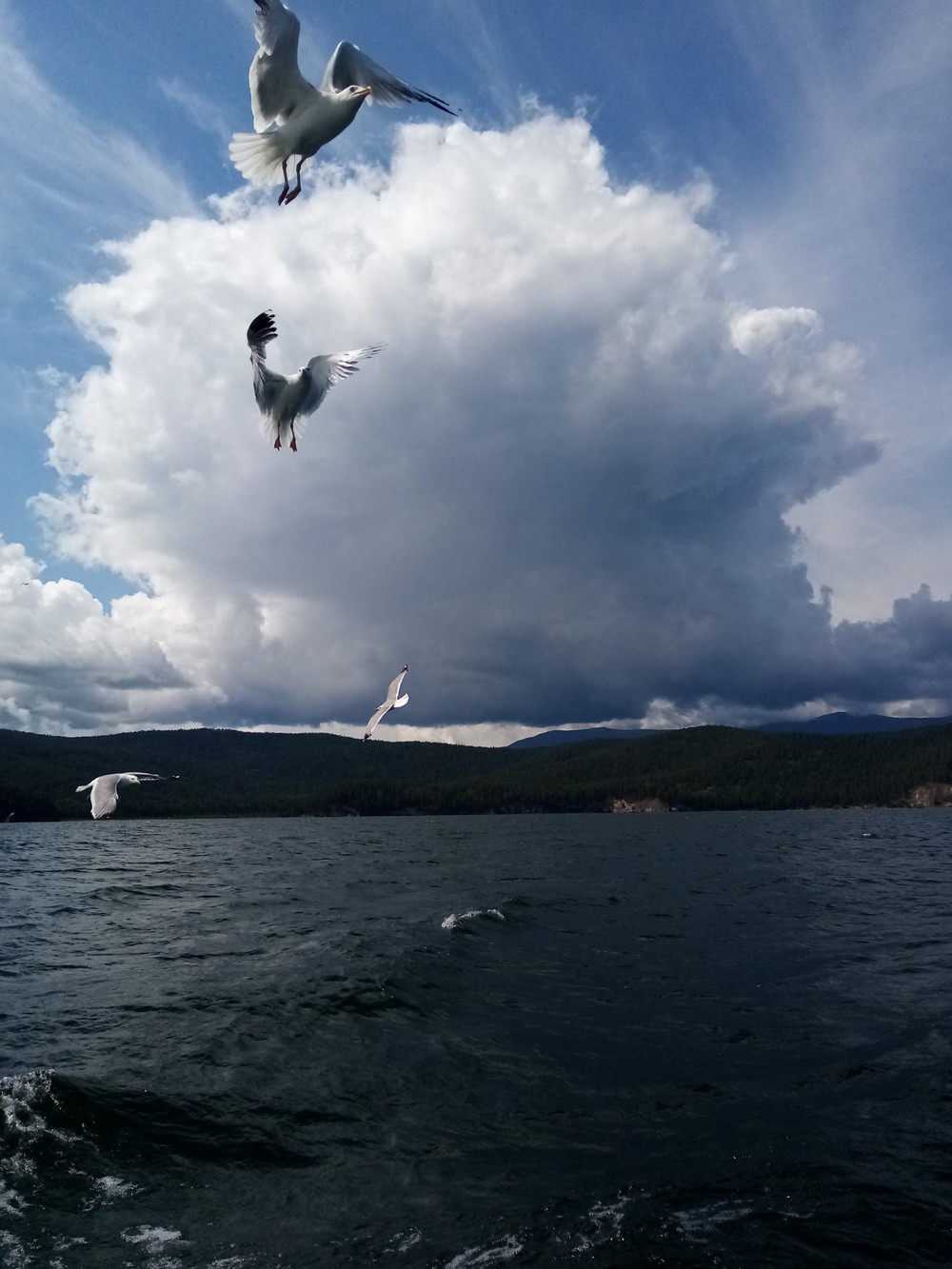 Необычный Байкал: лечебный источник, маяк и сюрреалистическая бухта (10/13)