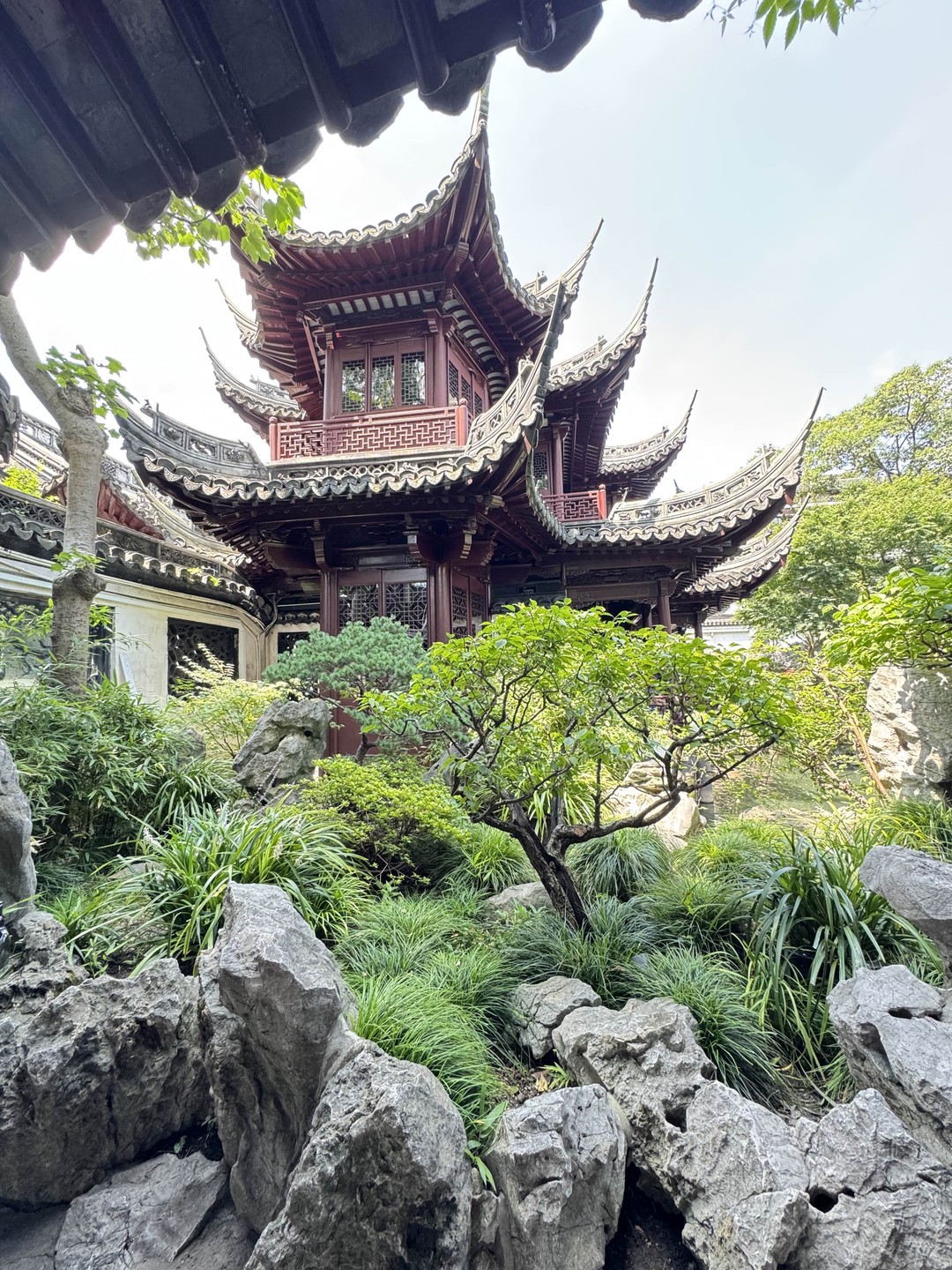 Незабываемый Шанхай на автомобиле (Ксения)