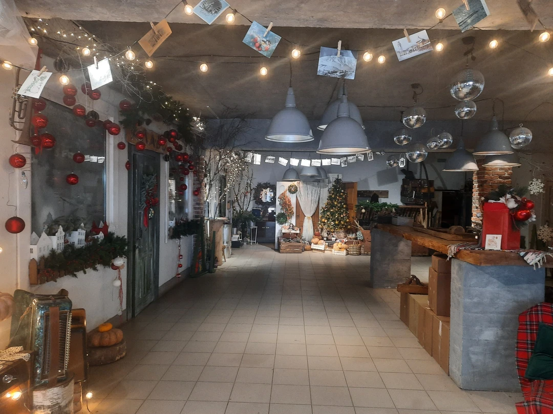 Спасибо большое за экскурсию и мастер-класс!