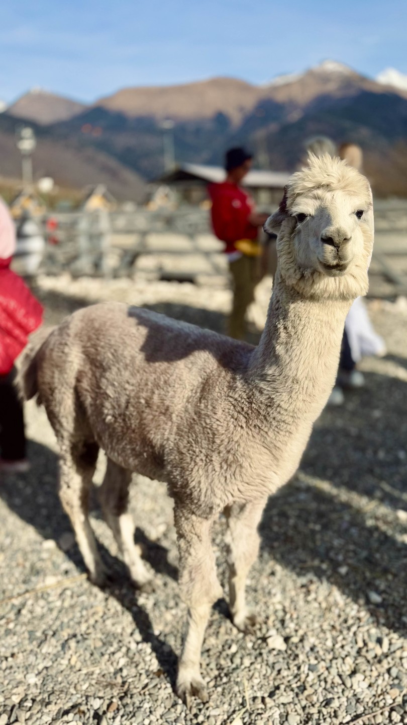 Договорились с Натальей начать путешествие в желаемое время. Выехали пораньше пока все спали, и застали пустые