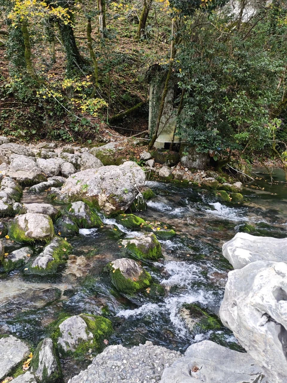 Отличный гид, бусик и экскурсия! Рекомендую! Наш гид был Славик, очень приятный интересный собеседник! Рассказывал не