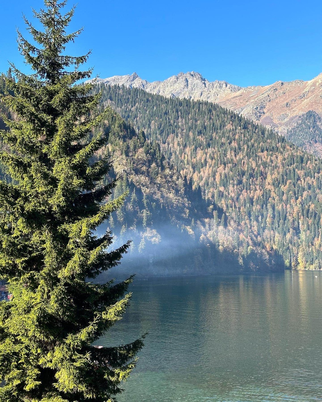 Это наша вторая поездка с друзьями в Абхазию. И думали, ну чем нас удивить…? Мы же