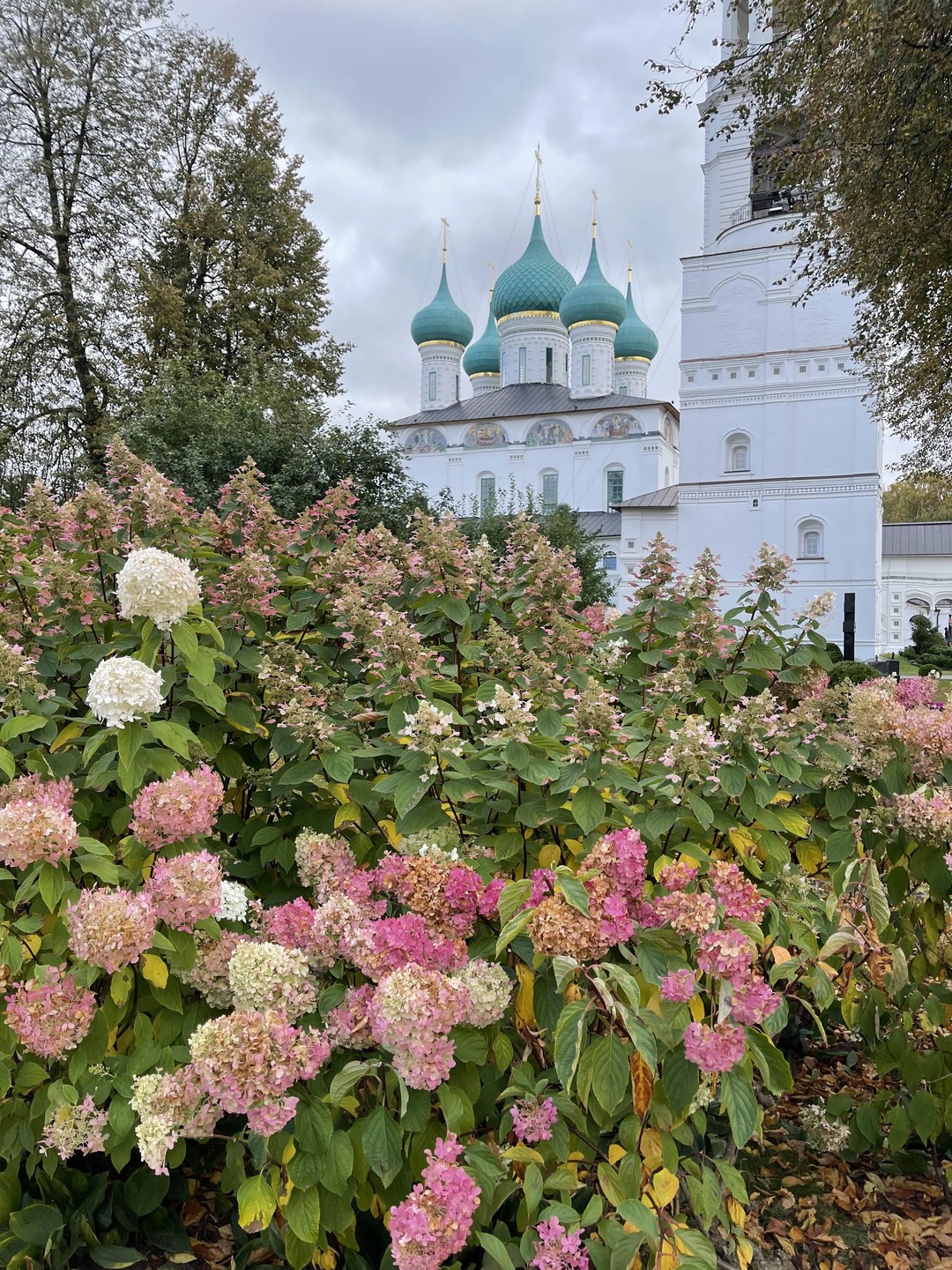 Очень понравилась экскурсия! Экскурсовод Илья рассказал много интересного о истории Толгского монастыря. Понравилось его трепетное отношение
