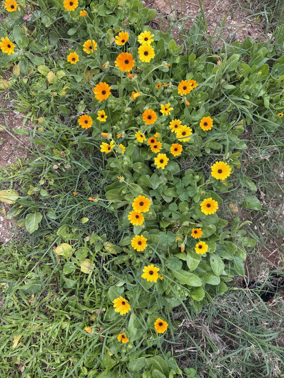 Фатально потрясающая поездка!!