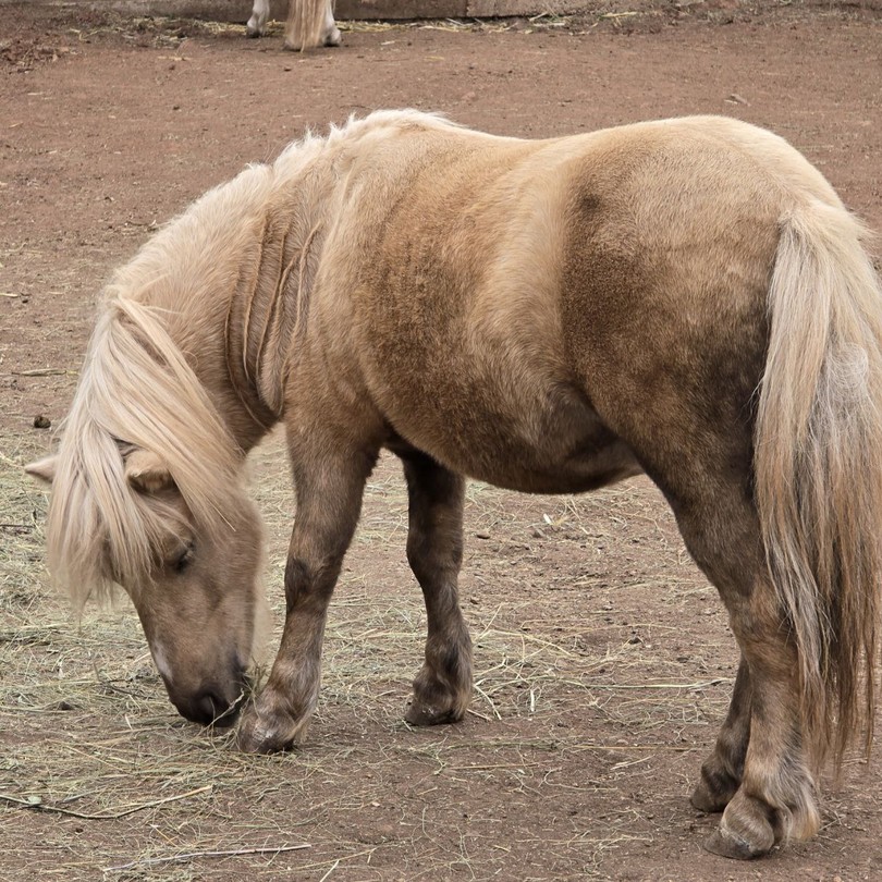 Экскурсия «Башкирское предуралье: от озерных глубин до горных вершин» превзошла все мои ожидания! Это удивительное путешествие