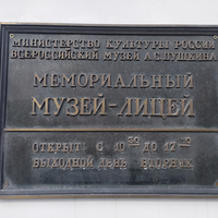 Фото туриста Санина 2 - Царское село: Екатерининский дворец и янтарная комната (всё включено)