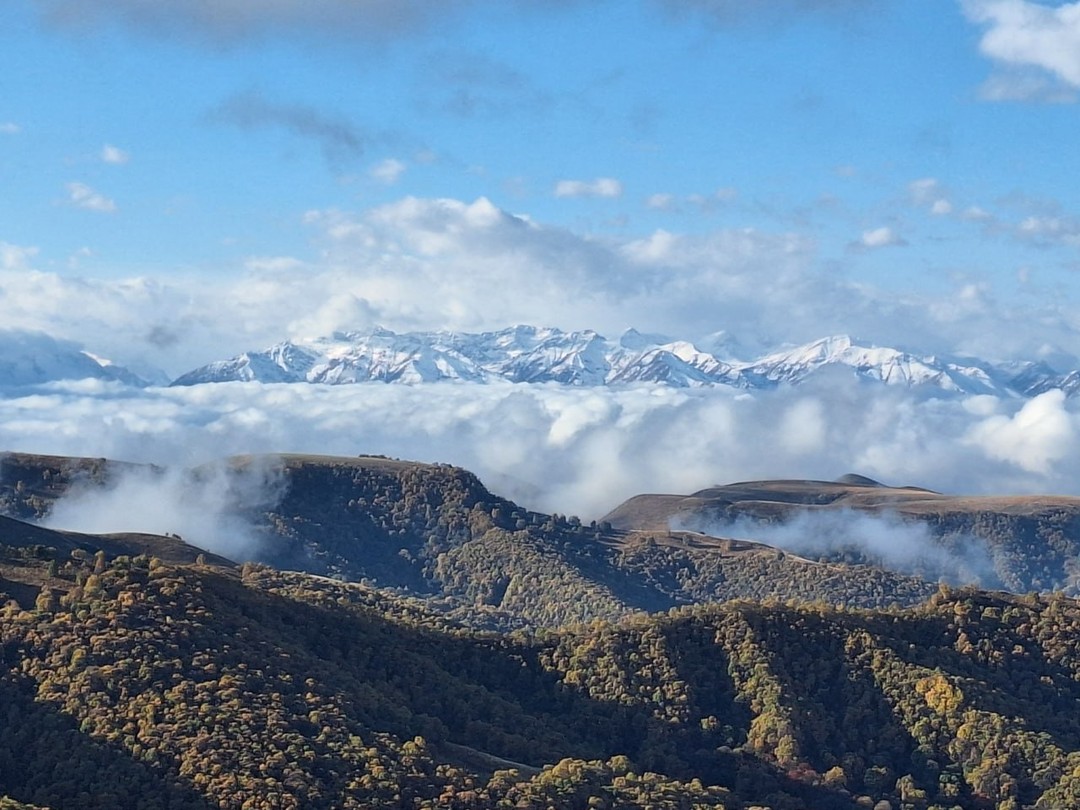 15 октября 2025г. мы едем на Домбай. Наш водитель, он же гид, Василий. По дороге к