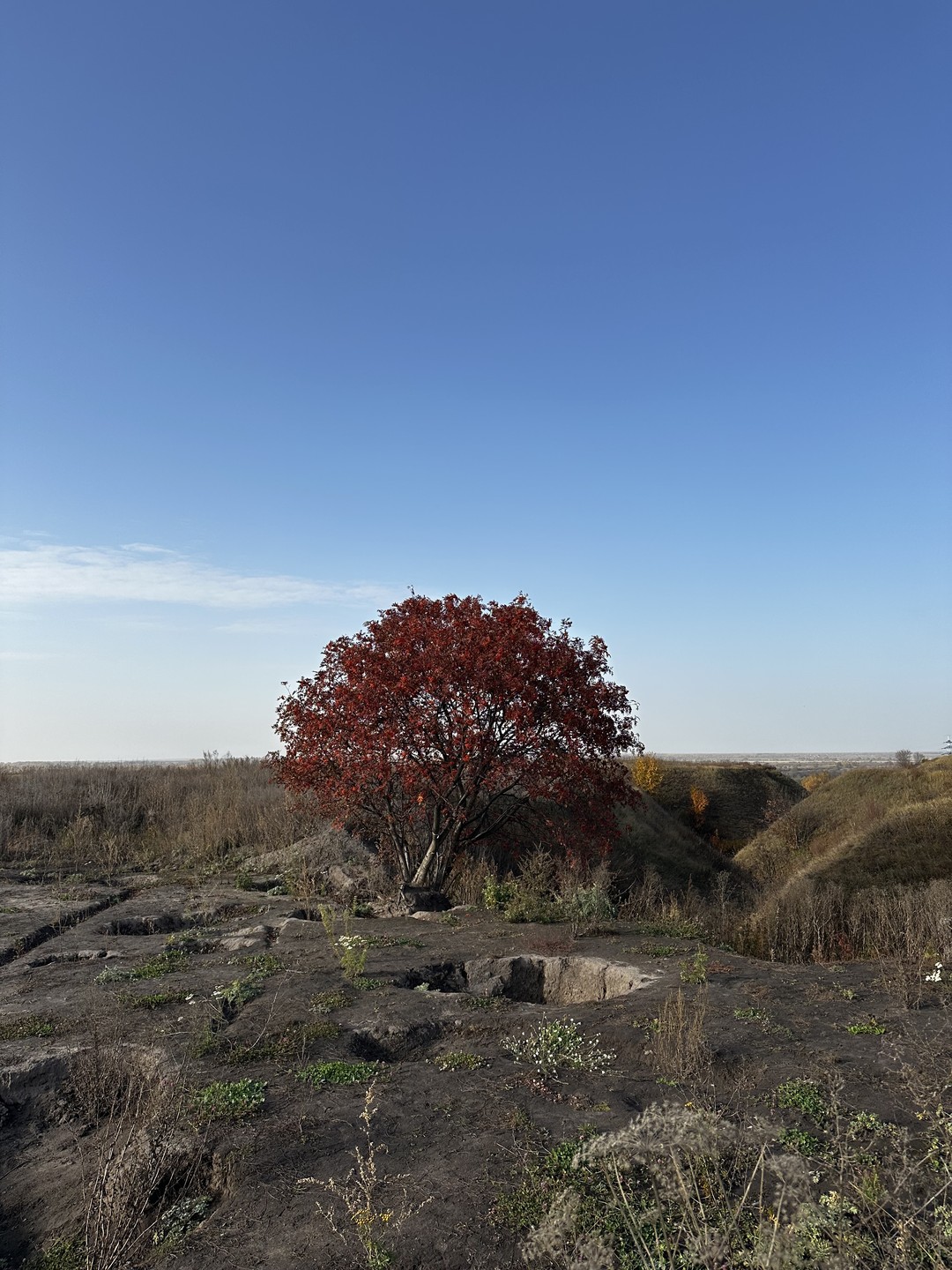 Невероятное путешествие в глубь веков. Юля покорила нас с первого взгляда: интересный рассказчик, приятный собеседник, который