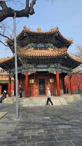 Отличный гид Николай. Интересная экскурсия и рассказ о достопримечательностях Пекина. Хороший маршрут