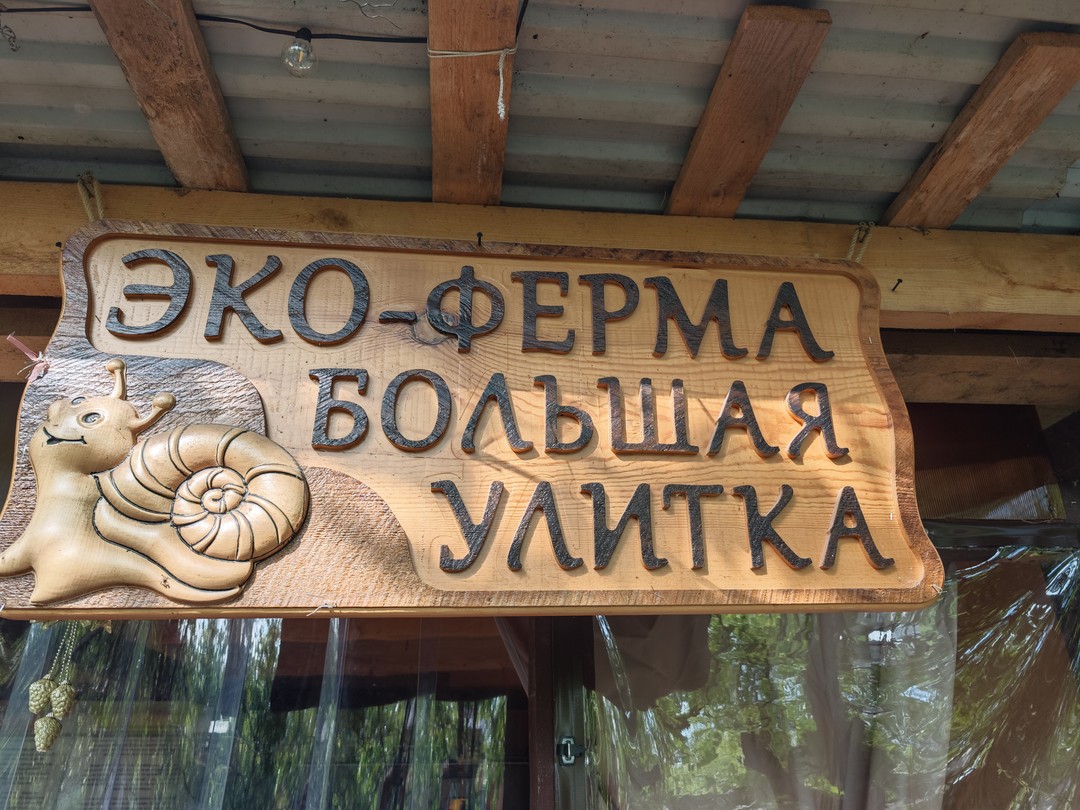 Фото отзыва 1: экскурсия "Гастроэкскурсия по первой улиточной ферме в Адлерском районе (всё включено)"
