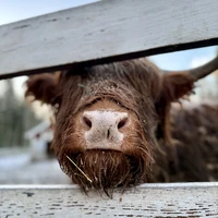 Фото отзыва 1: экскурсия "Усадьба Киискиля под Выборгом: триумф, гибель и возрождение"