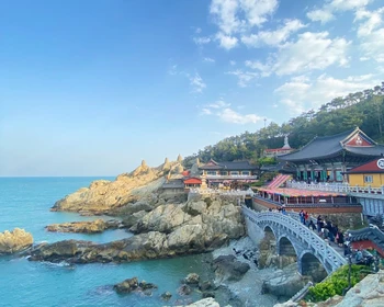 Пусан: храм, цветные вагоны, прогулка на яхте