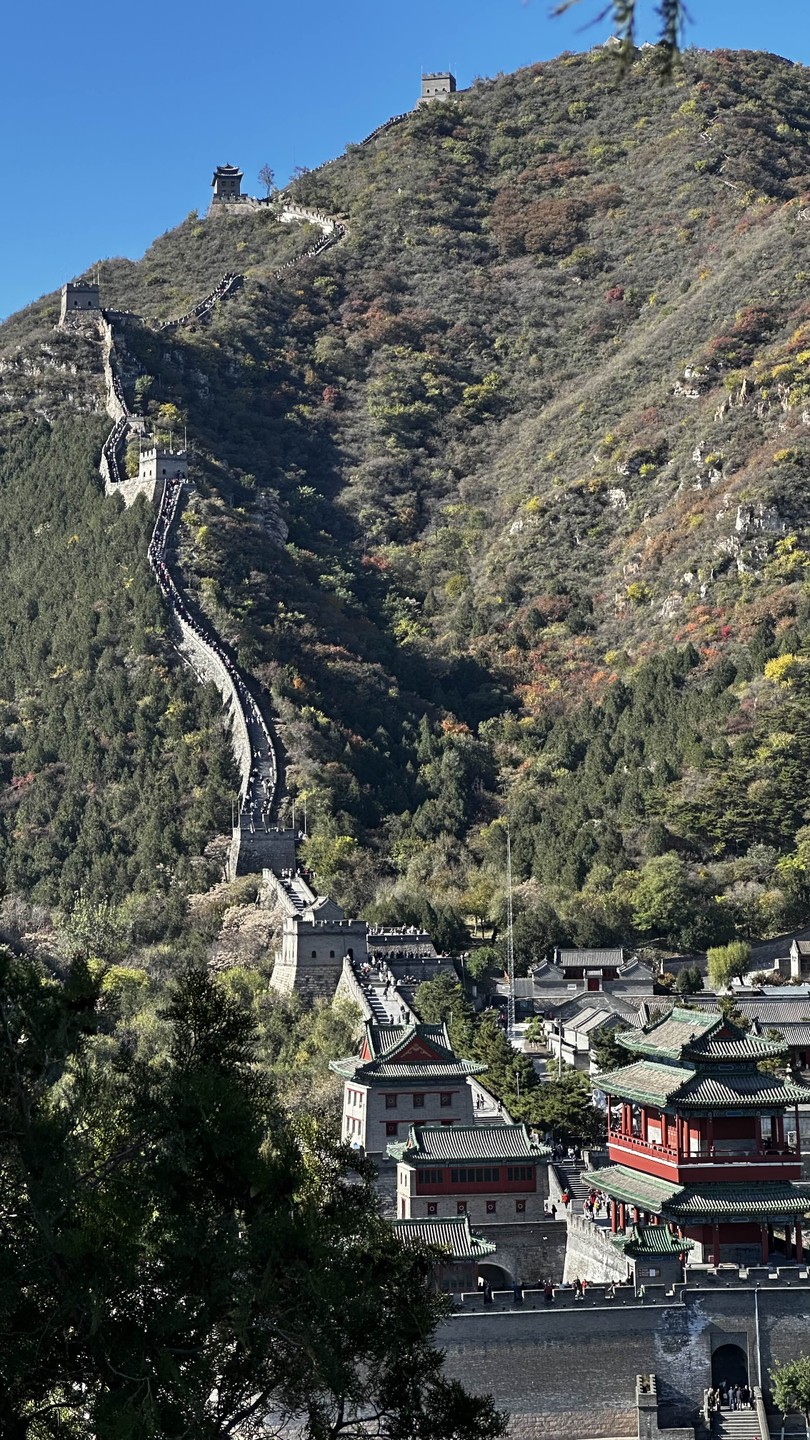 Пекин и Великая Китайская стена за 1 день: индивидуальная VIP-экскурсия (Елена)