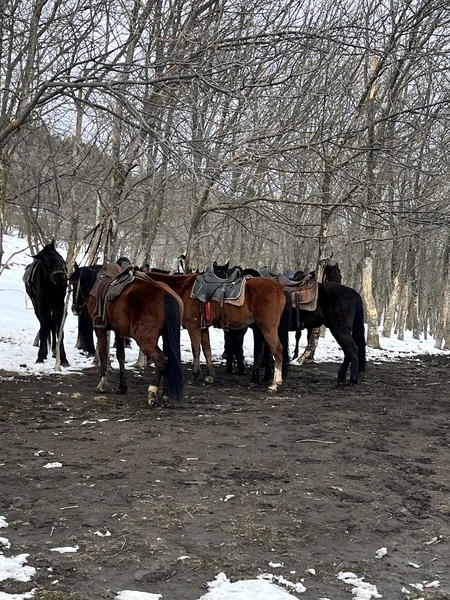 Все очень понравилось! Было весело) ребята веселые. Коасивые виды и место для фол.