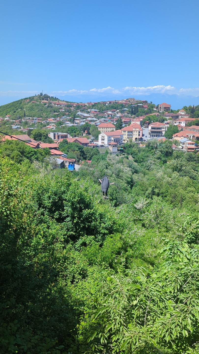 Кахетия - родина вина, чачи и красоты (Анастасия)