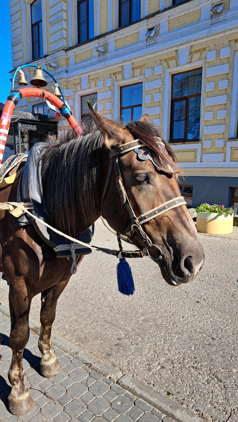 Из Нижнего Новгорода в Городец - ремесла Приволжья (Лиана)