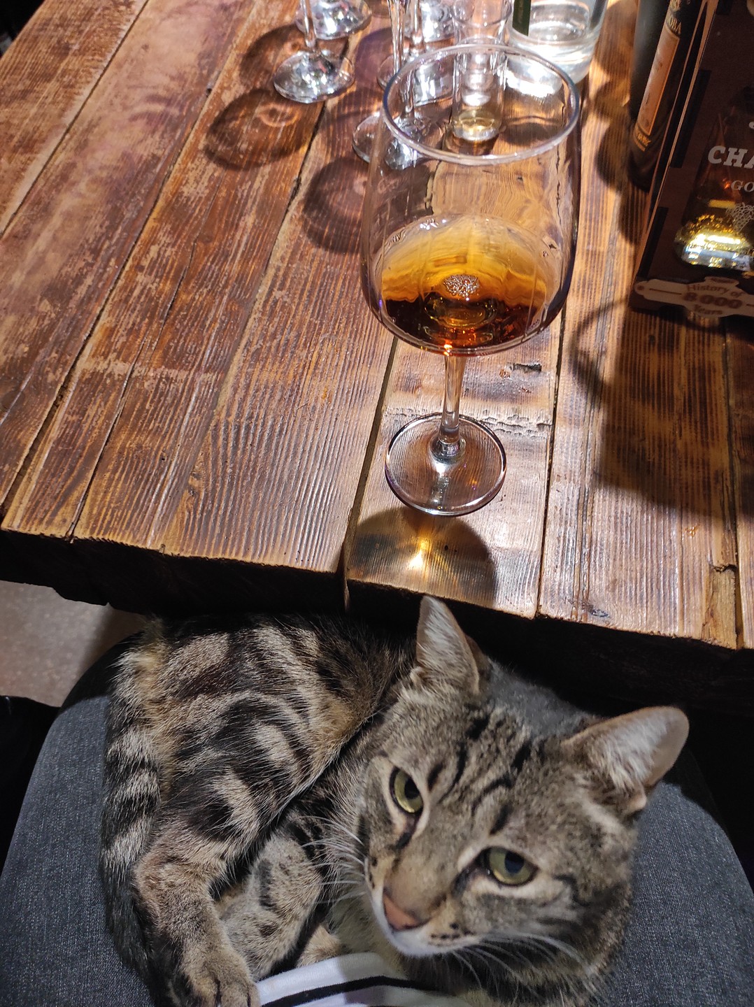 Винно-обзорный променад по Тбилиси (Ekaterina)