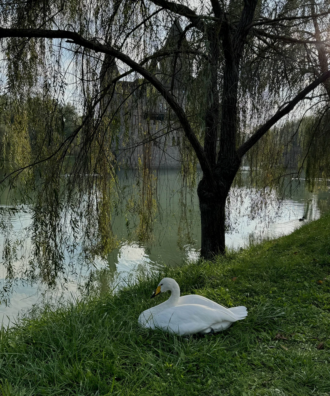 восхитительная поездка! мне все очень понравилось!