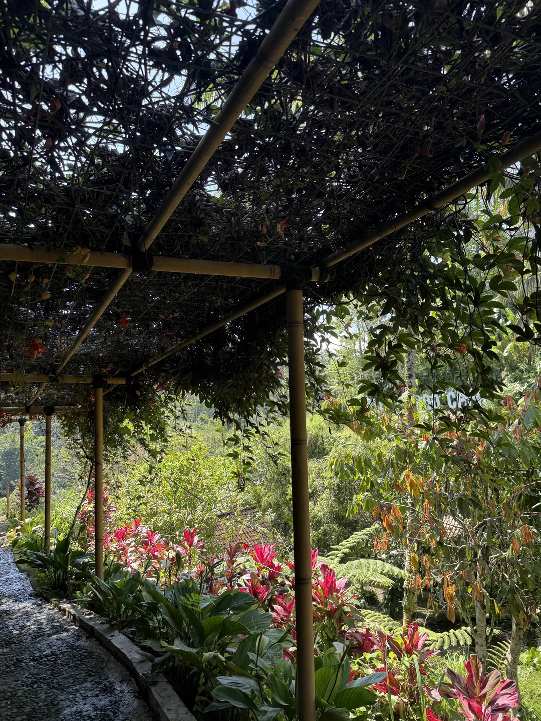 Густи очень хороший гид, по русски говорит с акцентом, но все понятно, знает очень много русских