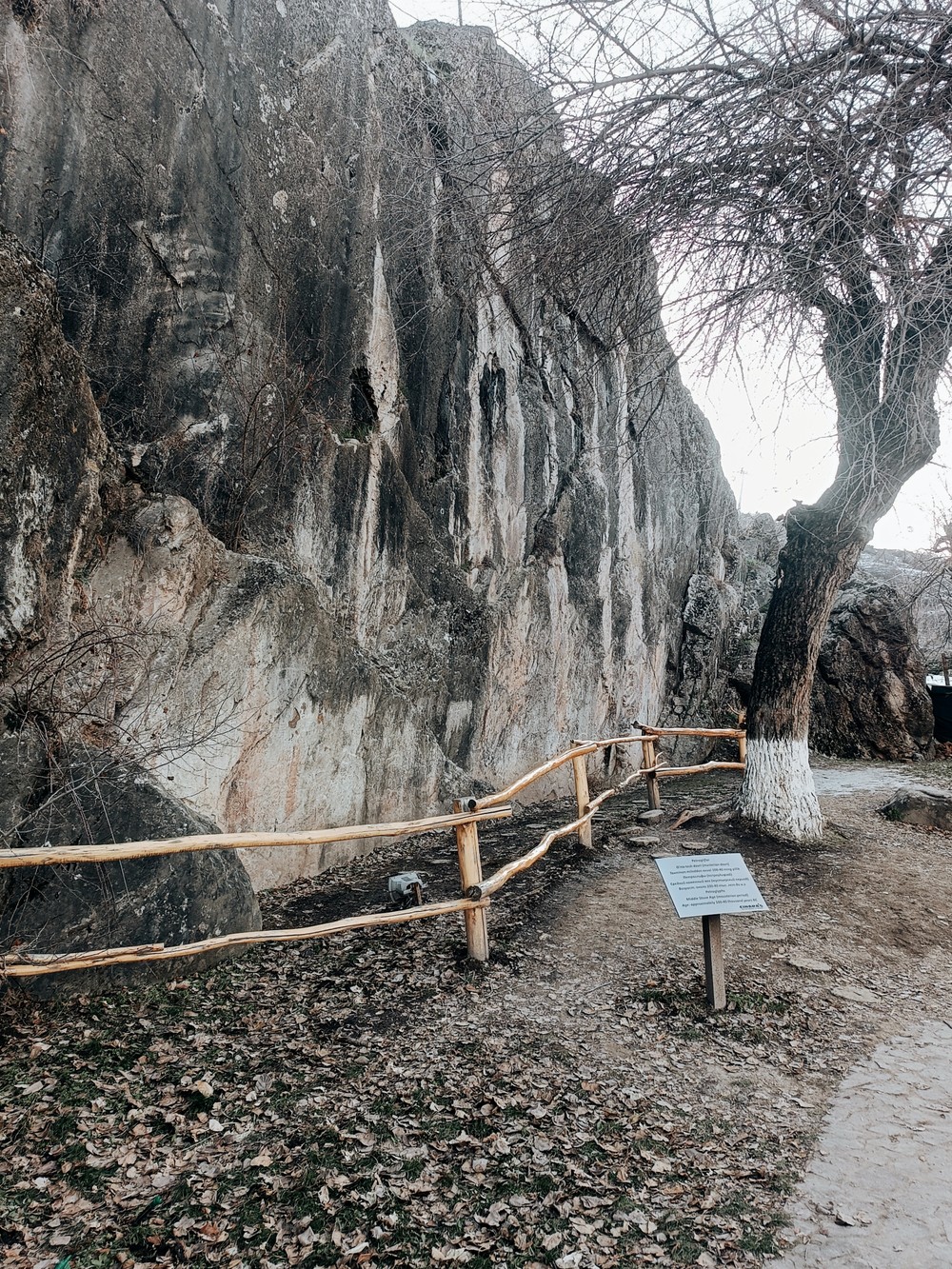 Фото Из Ташкента — в горный оазис: Чимган и канатка Бельдерсая