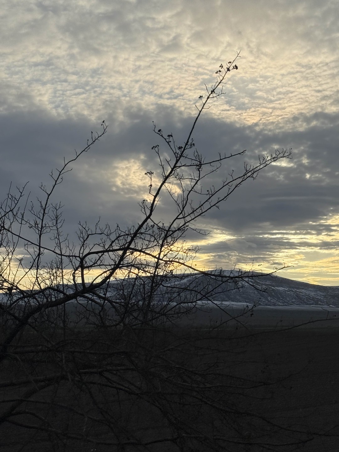 Это был невероятный день: Шеки и потрясающий дворец, заснеженное озеро, православный албанский храм. Наш гид Анвар.