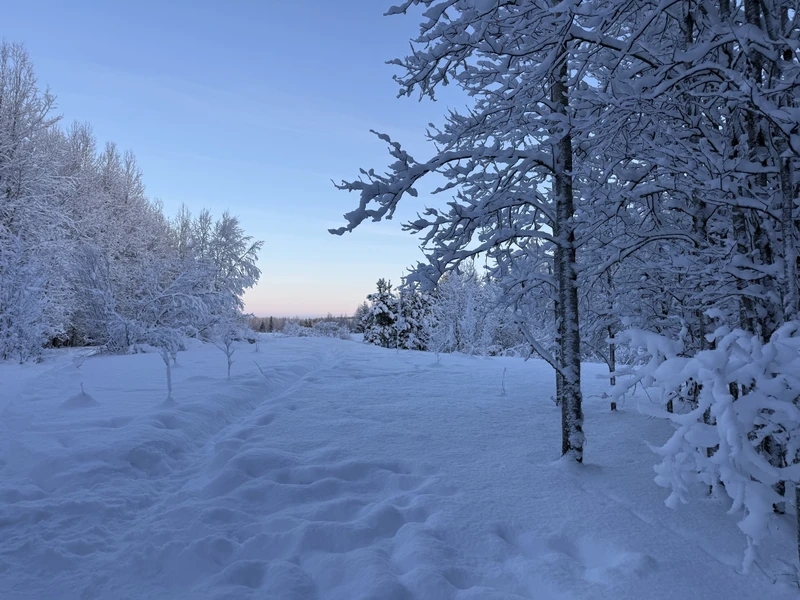 Замечательная экскурсия! Не первый раз пользуемся услугами гида Сергея. Были и летом, и зимой. Сергей великолепный