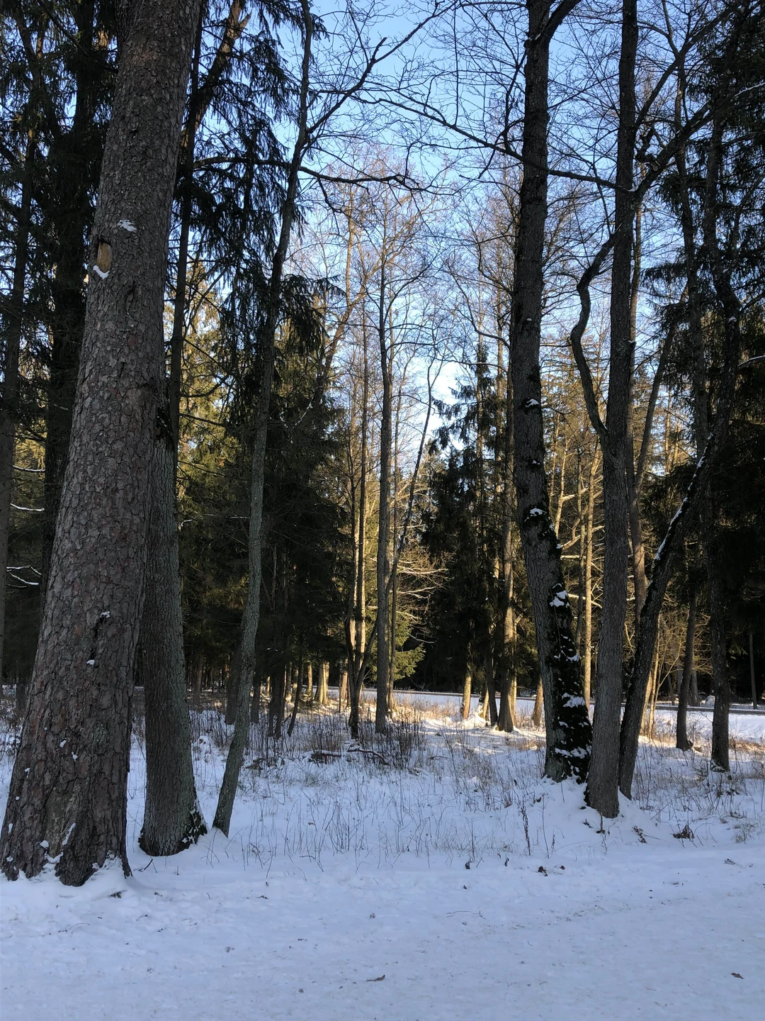 Великолепно! Автобус комфортабелен и удобен,водитель профессионал! Егор много знает,интересно и с юмором подает материал,говорит четко и