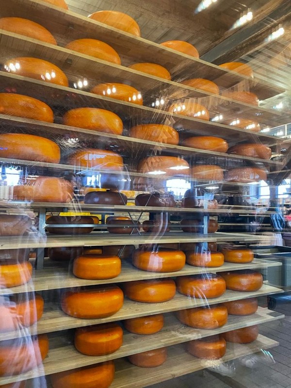 Фото отзыва 2: экскурсия "Из Калининграда — в замок Шаакен и на сыроварню «Шаакендорф»"