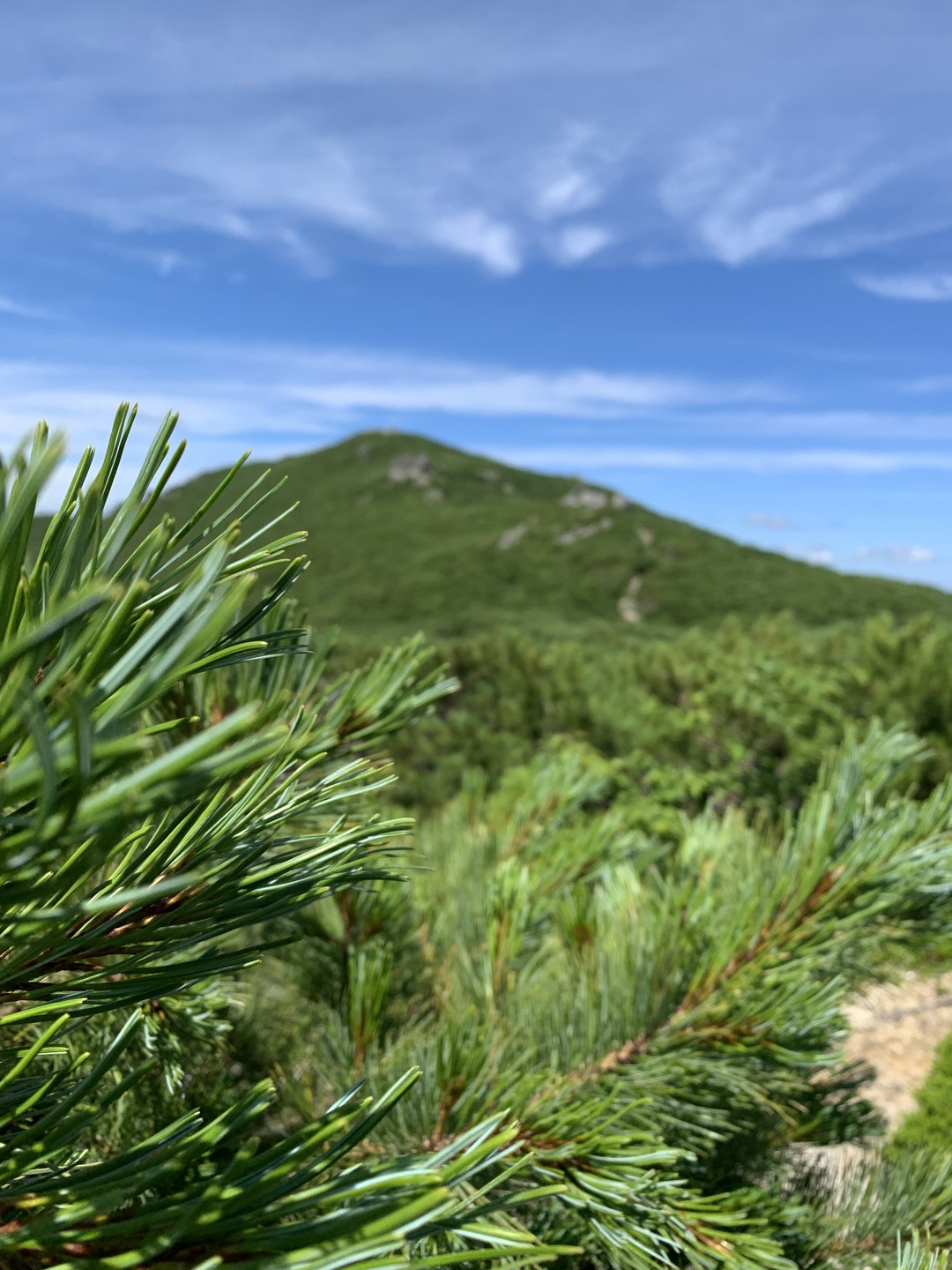 У меня нет опыта восхождений на горы, поход на пик Чехова стал первым. Спасибо гиду Сергею