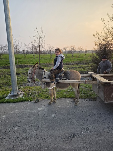 Это просто супер экскурсия. Шохрух великолепный гид. Очень много интересного рассказал, показал красивейшие места. 10 часов