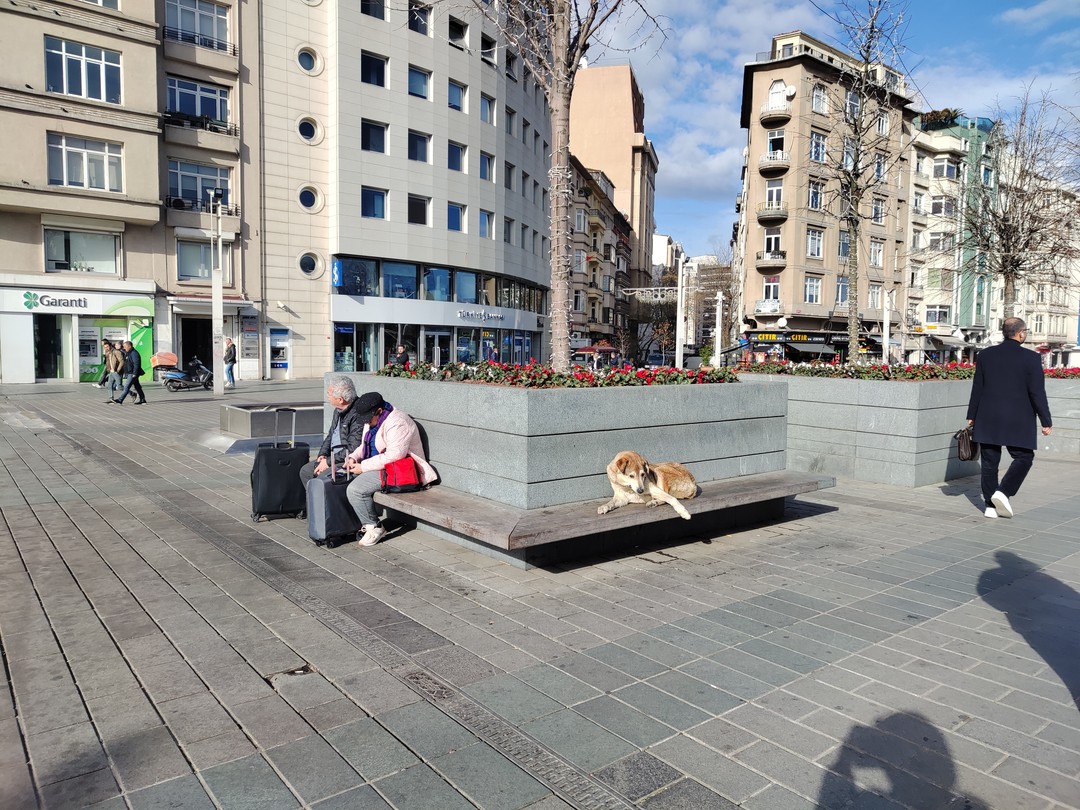 Очень понравилась экскурсия, было очень интересно, много посмотрели занимательных мест, экскурсия так нас захватила, что мы