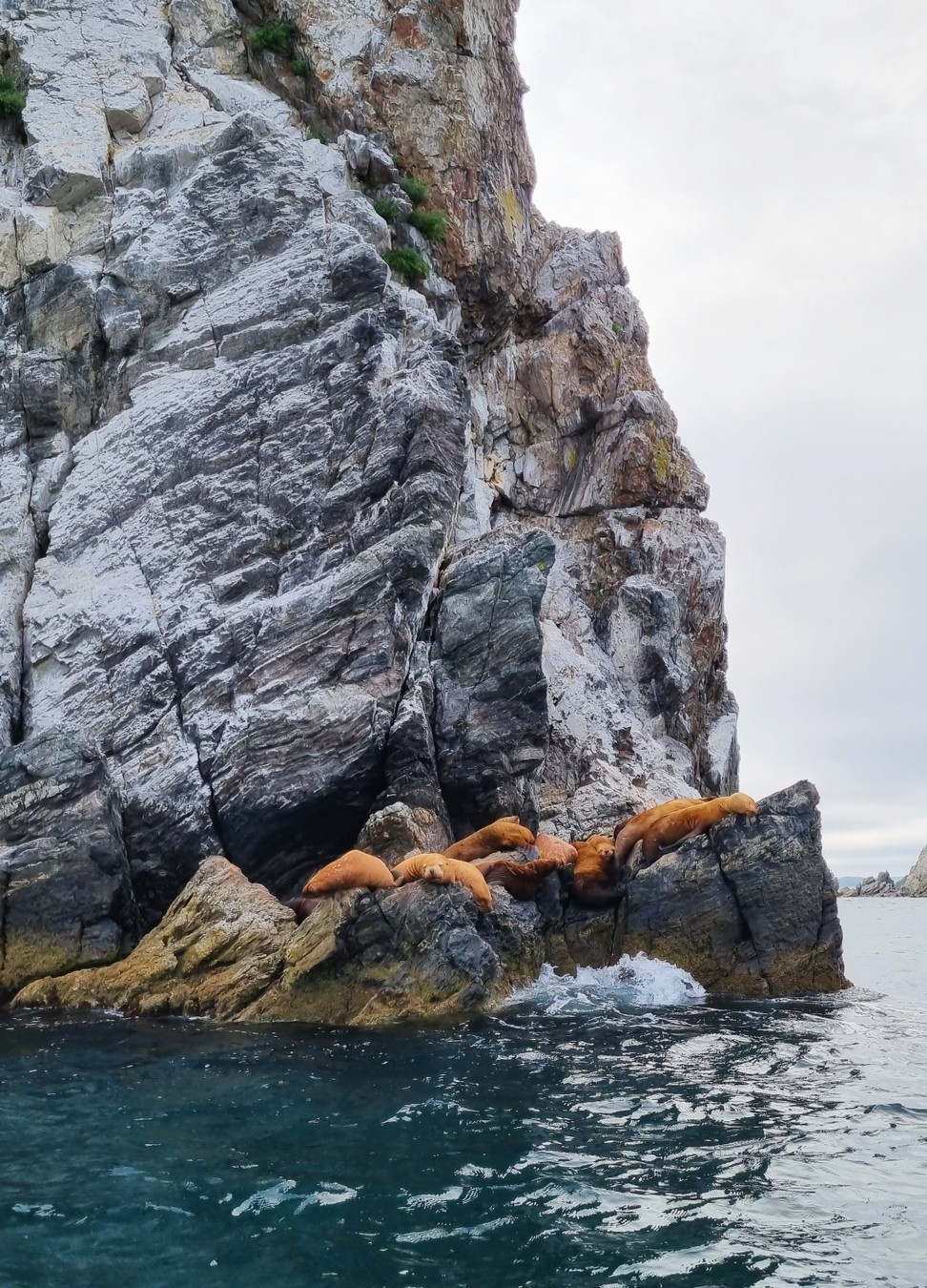 Из Владивостока на авто и катере — к тюленям! (6/23)