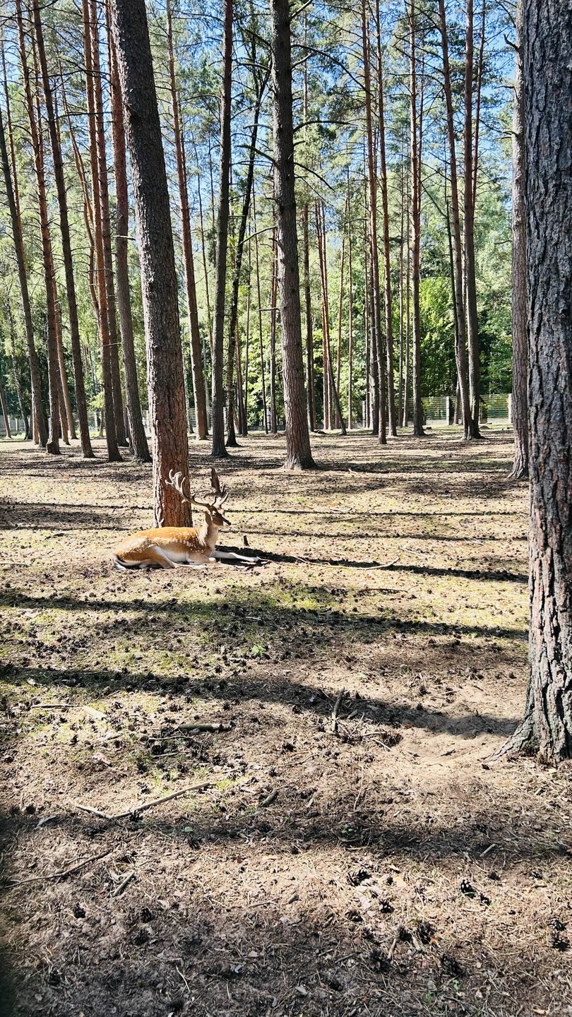 Автобус новый, удобный, ехать прохладно, тут вопросов никаких. Я все понимаю, что экскурсия большая, тайминг сжатый. 