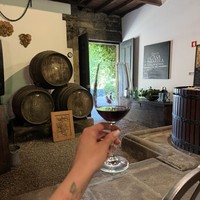 Фото отзыва 5: экскурсия "По винодельням с почётным сомелье Португалии!"