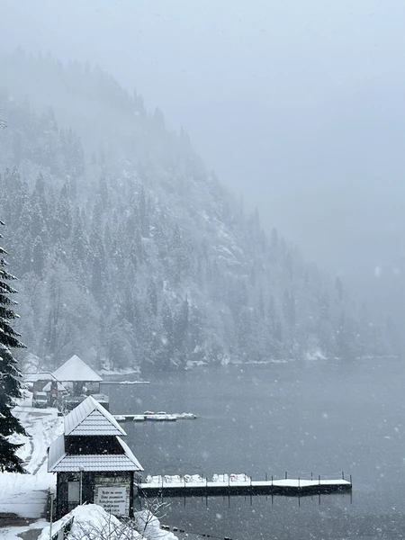 Впервые побывали в Абхазии, спасибо гиду Гамлету за интересную экскурсию, было много информации про историю Абхазию