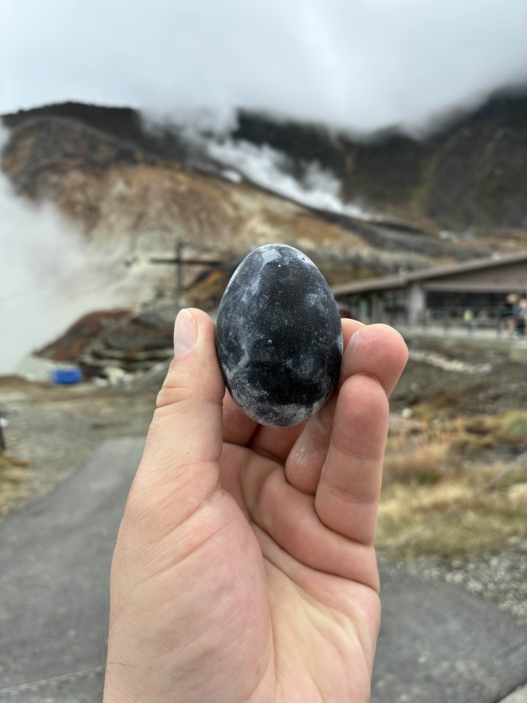 Спасибо большое Михаилу за прекрасную экскурсию, за отличную историю, лучшее погружение в Японскую культуру. Советую всем.