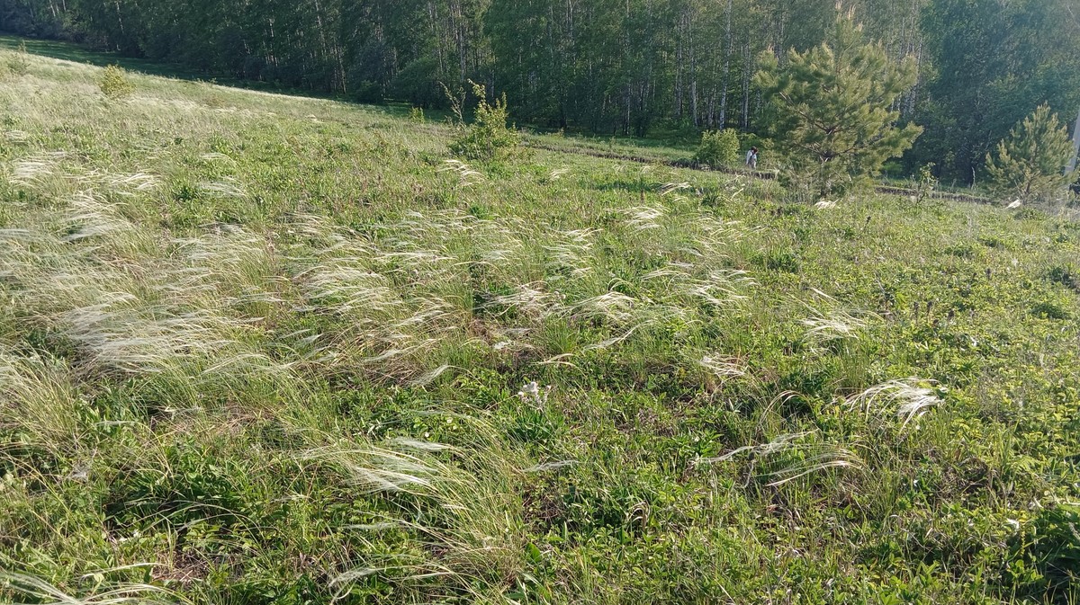 Из Казани — в Печищи: к природе и истории (7/12)
