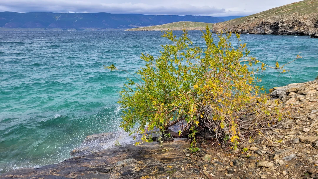 Ездили на Ольхон 8 сентября с Михаилом. Понравилось все. Точно в назначенное время мы уже садились