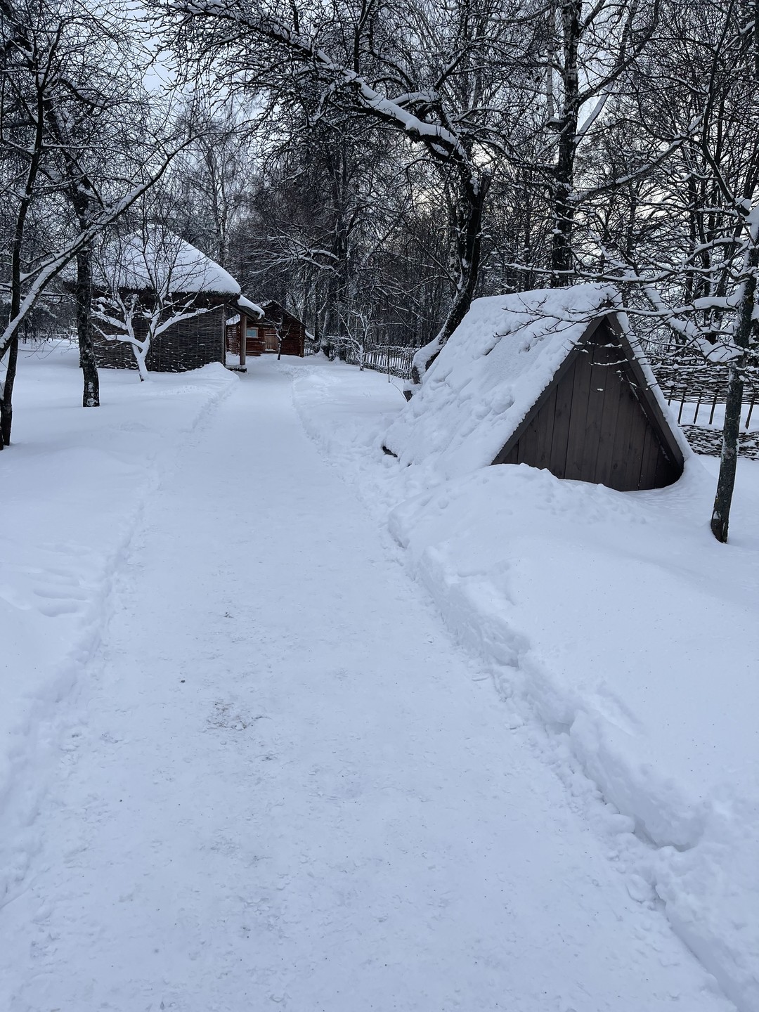 Заказала трансфер до Константиново и Пощупово. в Константиново по совету водителя Сергея заказала аудиогид. мне поездка